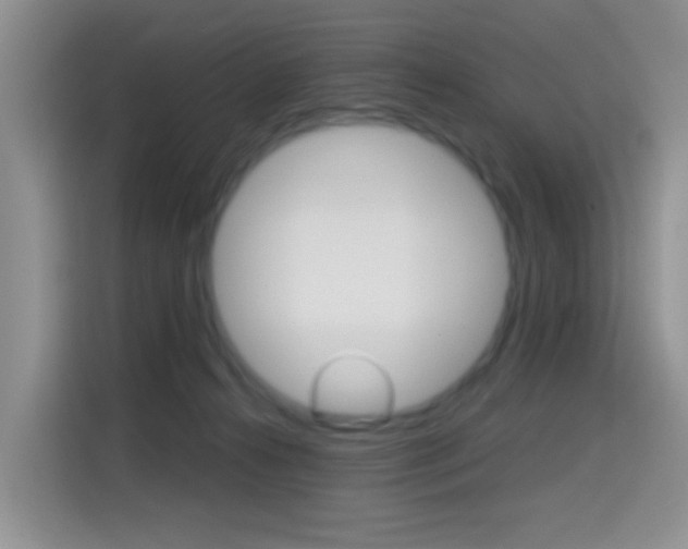 X0000114650272200910201007