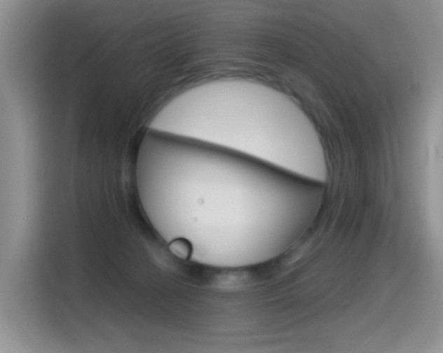 X0000114650274200910201007