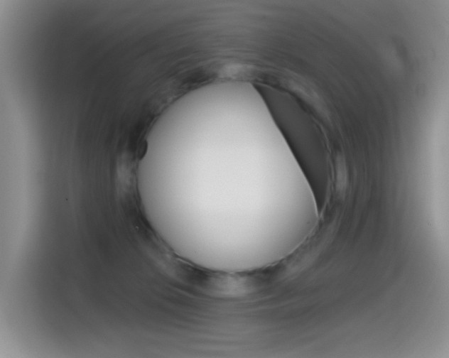X0000114650276200910201007