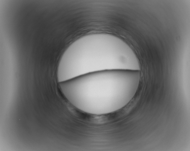 X0000114650277200910201007