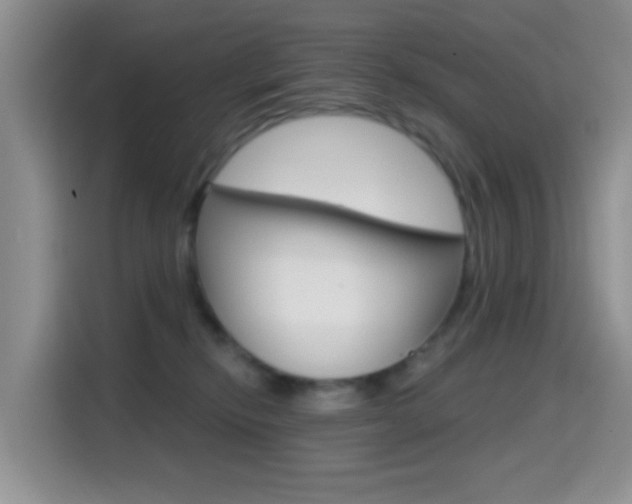 X0000114650278200910201007