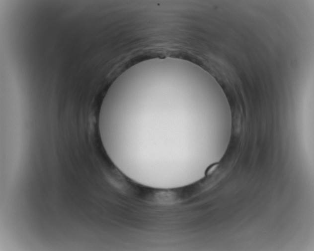 X0000114650279200910201007