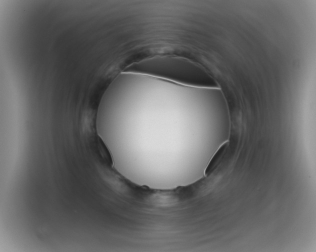X0000114650280200910201007
