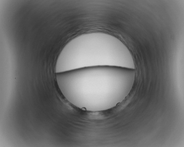 X0000114650281200910201007