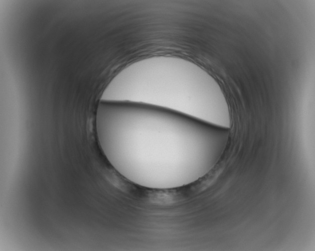 X0000114650282200910201007