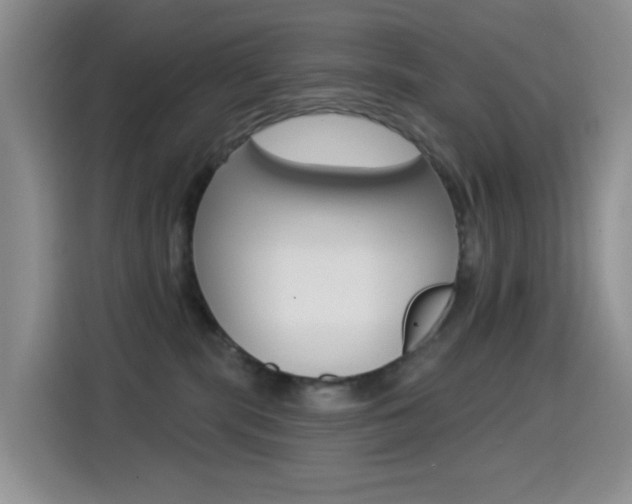 X0000114650283200910201007