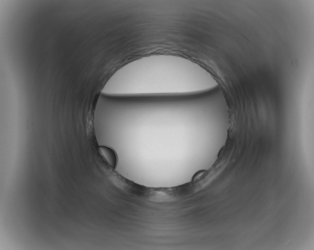 X0000114650285200910201007