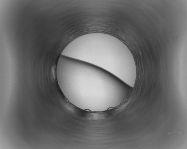 X0000114650286200910201007