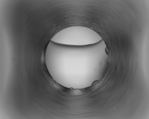 X0000114650287200910201007