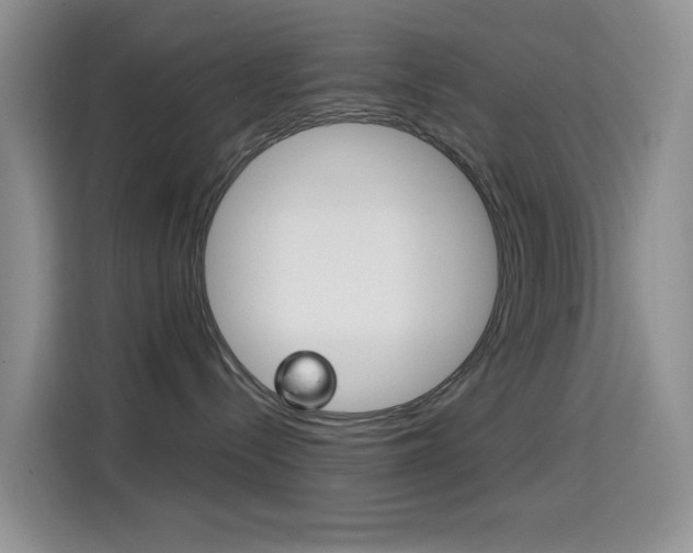 X0000114650288200910201007