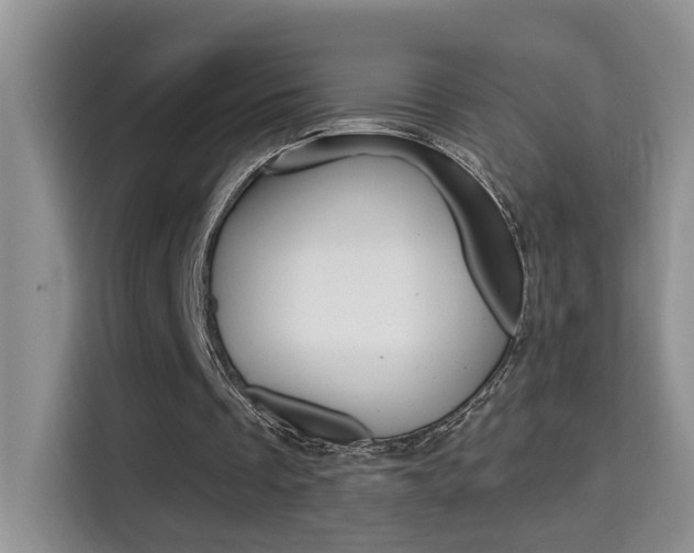 X0000114650289200910201006