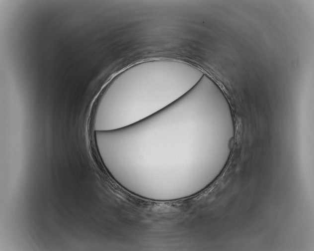 X0000114650290200910201006