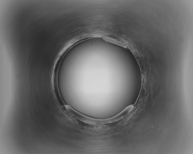 X0000114650292200910201006