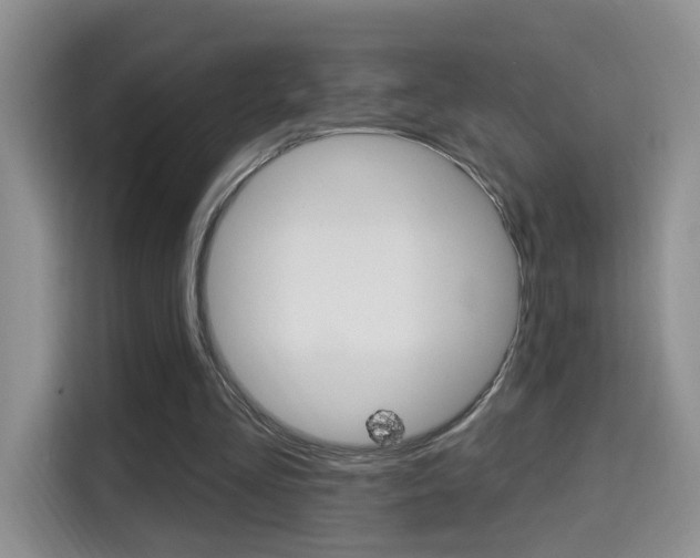 X0000114650293200910201006