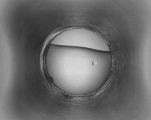 X0000114650294200910201006