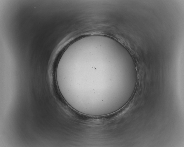 X0000114650295200910201006