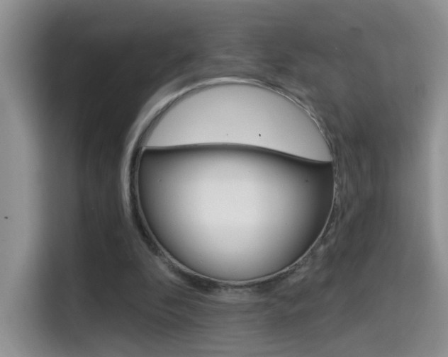 X0000114650296200910201006