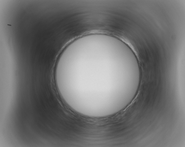 X0000114650297200910201006