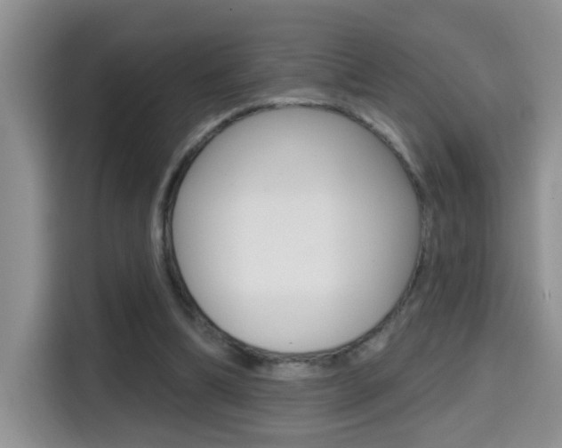 X0000114650298200910201006