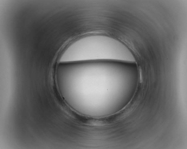 X0000114650300200910201006