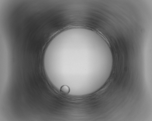 X0000114650301200910201006