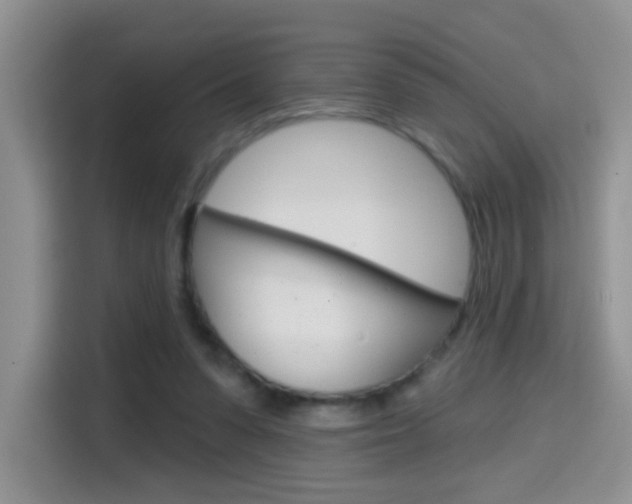 X0000114650303200910201006