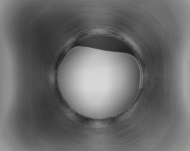 X0000114650305200910201006