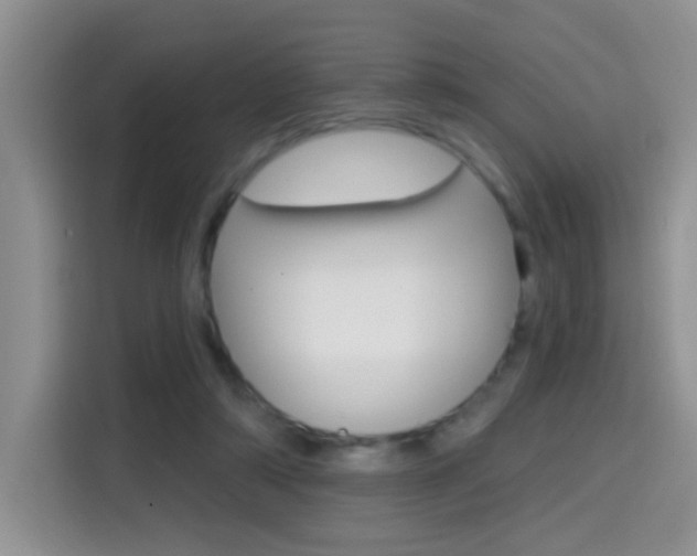 X0000114650306200910201006