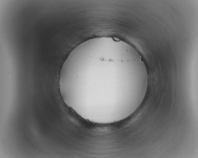 X0000114650307200910201006