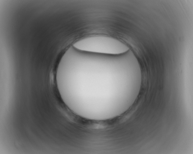 X0000114650310200910201006