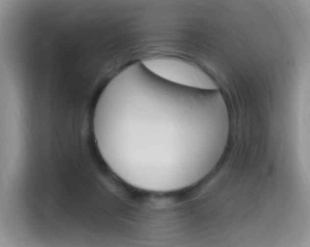 X0000114650311200910201006