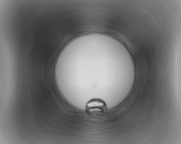X0000114650312200910201006