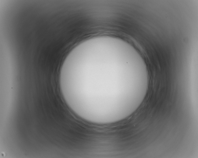 X0000114650313200910201006