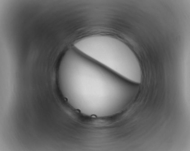 X0000114650315200910201006