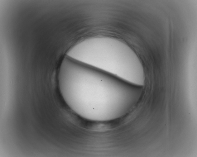 X0000114650319200910201006