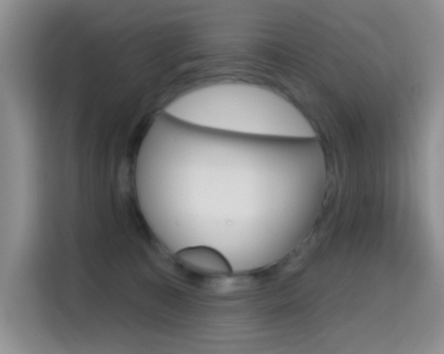 X0000114650323200910201006