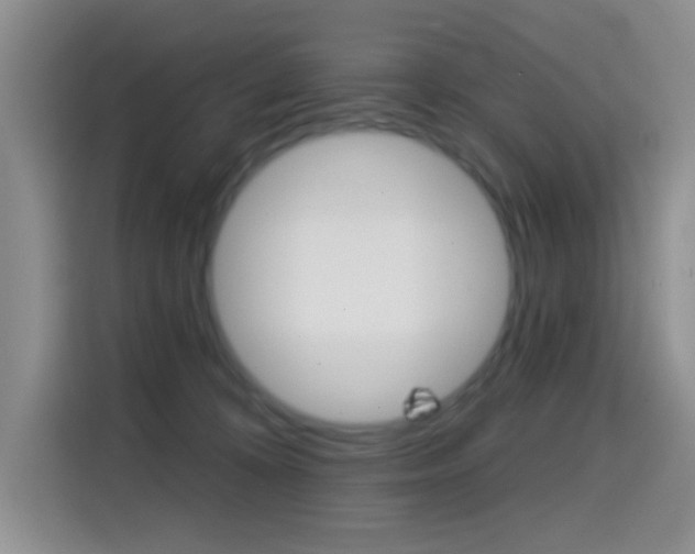 X0000114650324200910201006
