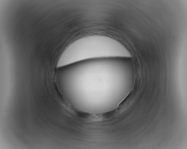 X0000114650328200910201006