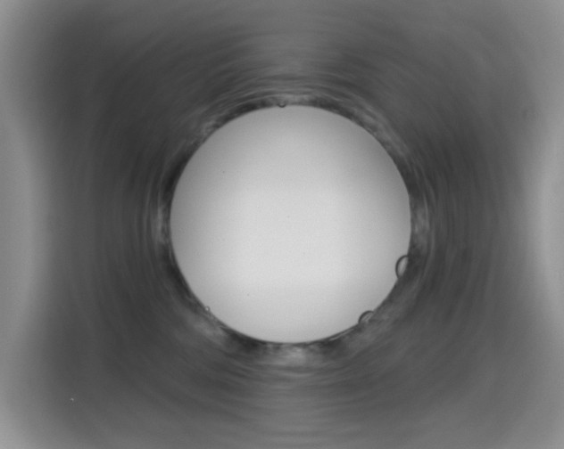 X0000114650330200910201006