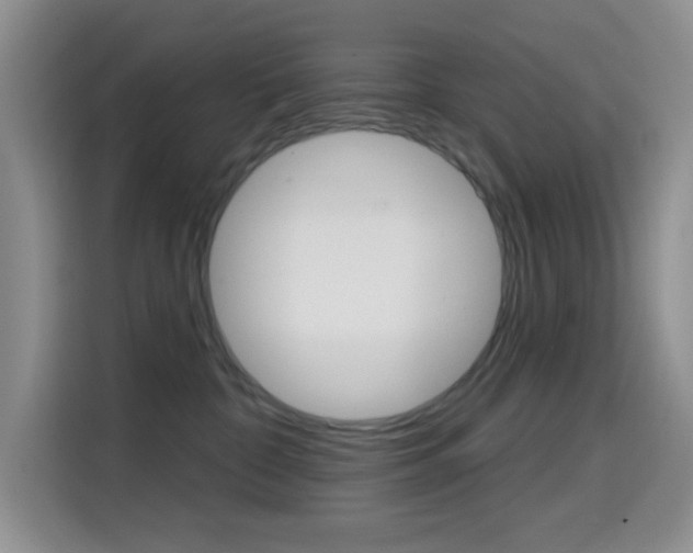X0000114650332200910201006