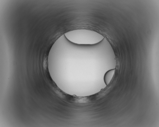 X0000114650334200910201006