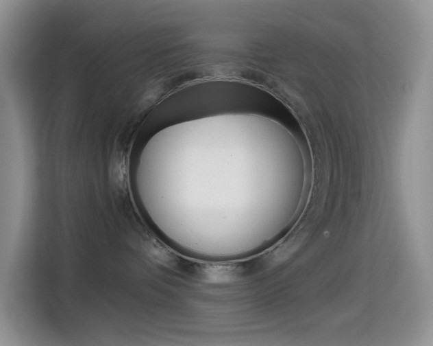 X0000114650336200910201006