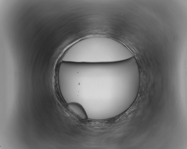 X0000114650338200910201005