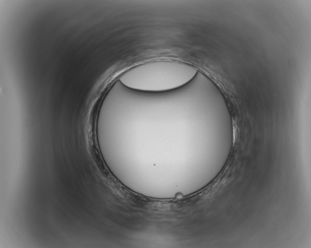 X0000114650339200910201005