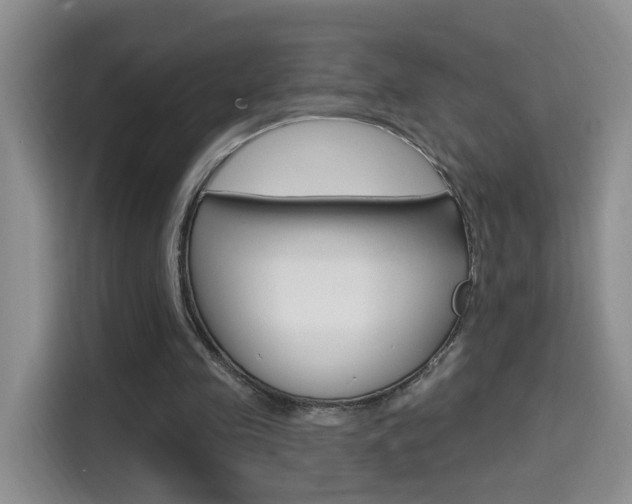 X0000114650341200910201005