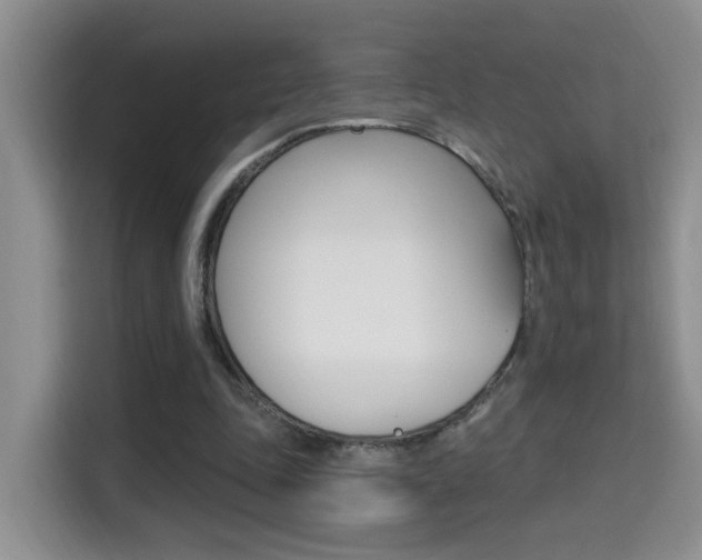 X0000114650343200910201005