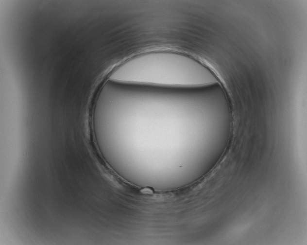 X0000114650345200910201005
