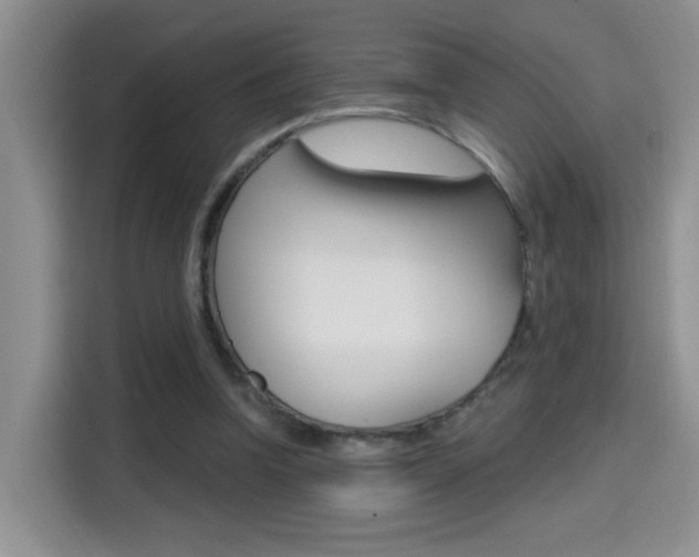 X0000114650346200910201005