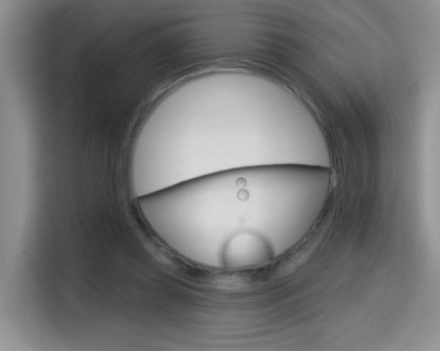 X0000114650349200910201005