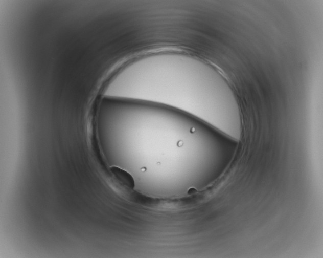 X0000114650350200910201005